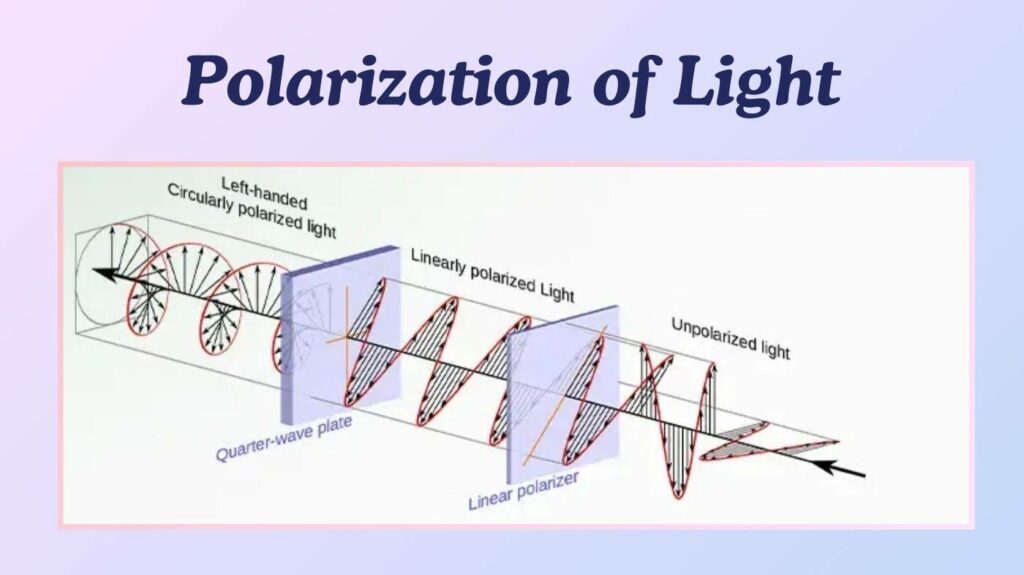 How Do Polarized Sunglasses Work Physics in Saudi Arabia